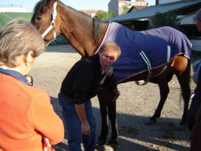Benvenuto alla Scuola di Mascalcia Naturale!