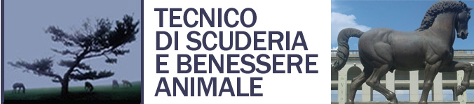 Tecnico di Scuderia e Benessere Animale